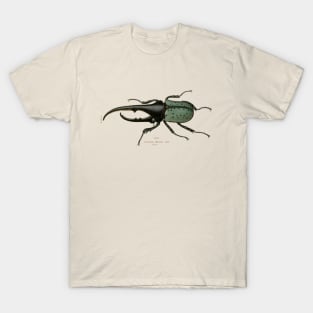 Hercules Beetle Vintage Illustration T-Shirt